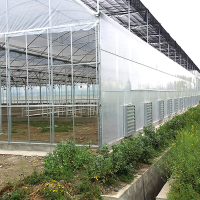 Seedbed Przedszkole Multi Span Tunnel Plastikowa szklarnia do sadzenia truskawek