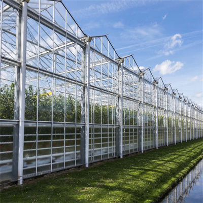 Rośliny Klimatyzator Duża szklana szklarnia Dostosowane automatyczne sterowanie na zewnątrz