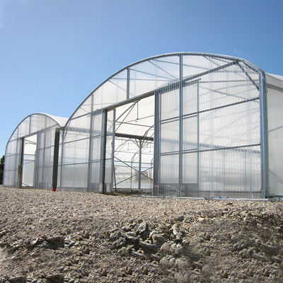 Duża szklarnia z poliwęglanu / Multi Span Greenhouse Multi Functional