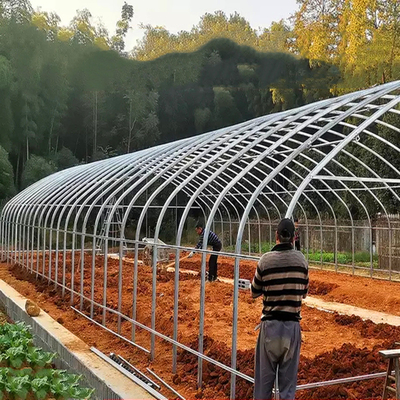 Rolnicza Komercyjna Przemysłowa Szklarnia z tworzywa sztucznego o szerokości 12 m Anty UV PE do upraw
