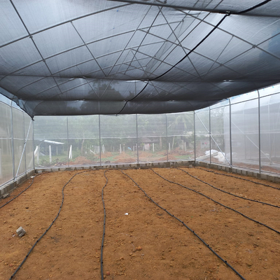 Folia UV Rolnictwo Górny tunel wentylacyjny Plastikowa szklarnia Pojedyncza rozpiętość Dostosowana