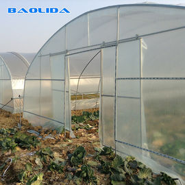 Sadzenie warzyw w tunelu o pojedynczej rozpiętości Tunel warzywny o pojedynczej rozpiętości Szklarnia z folii z tworzywa sztucznego
