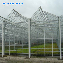 Gotycka szklarnia typu Venlo Stabilna struktura rolnicza Łatwy montaż