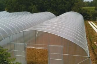 Kryty namiot szklarniowy na zewnątrz Mały / namiot do uprawy warzyw Łatwy w instalacji