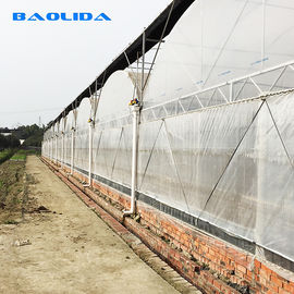 Struktura ocynkowana na gorąco Rolnictwo Tunel foliowy Szklarnia Odporna na wiatr wieloprzęsłowa szklarnia