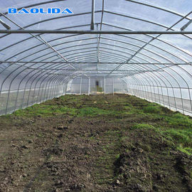 Rolnictwo Pojedyncza przęsło ocynkowana ogniowo rura tunelowa z tworzywa sztucznego do truskawek
