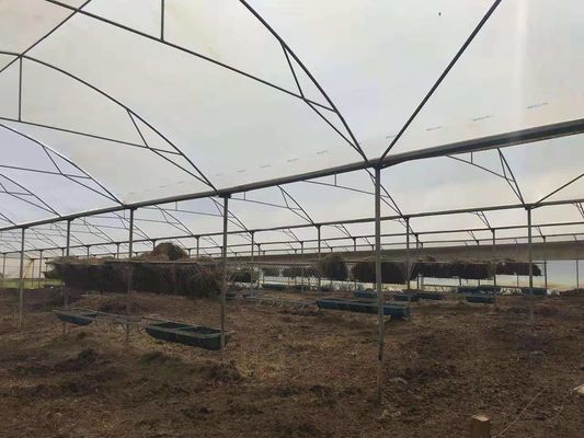 Farma drobiu Używana rolnicza plastikowa ciepła szklarnia chroni przed deszczem