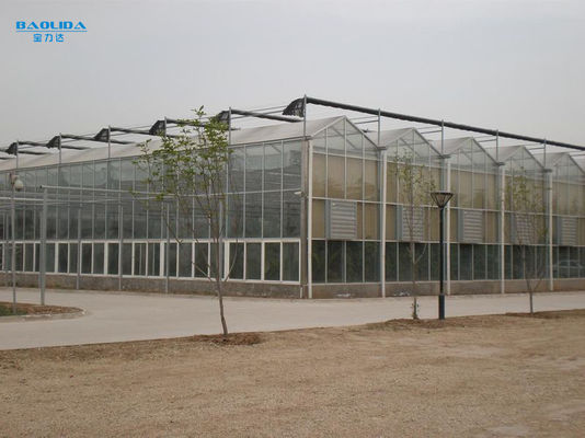 Rośliny Klimatyzator Duża szklana szklarnia Dostosowane automatyczne sterowanie na zewnątrz