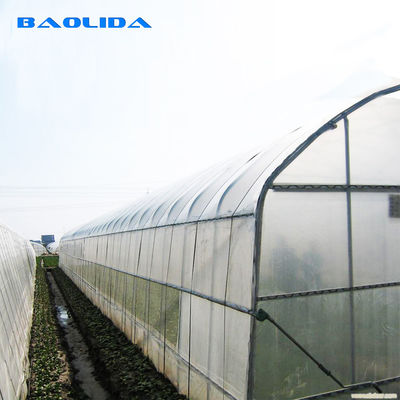Pojedynczy tunel warzywny z tworzywa sztucznego do uprawy rolnej ocynkowany
