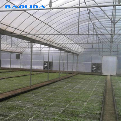 Garden Commercial Multi Span Greenhouse dla stabilnej wydajności warzyw