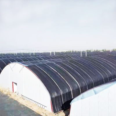 10m * 100m hydroponiczna szklarnia pozbawiająca światła do uprawy konopi