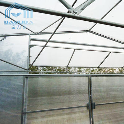 System uprawy roślin Szklarnia Szklarnia stalowa Konstrukcja Hoop Tunnel Plastikowa szklarnia