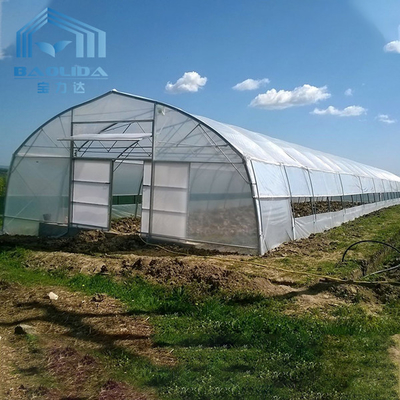 Rolniczy plastikowy tunel szklarniowy do szklarni do uprawy warzyw