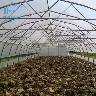 Rolniczy plastikowy tunel szklarniowy do szklarni do uprawy warzyw