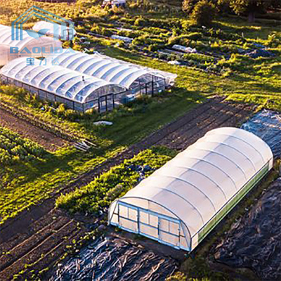 Aquaponis Growing Poly Tunel Plastikowa szklarnia dla rolnictwa