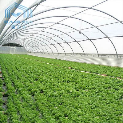 Aquaponis Growing Poly Tunel Plastikowa szklarnia dla rolnictwa