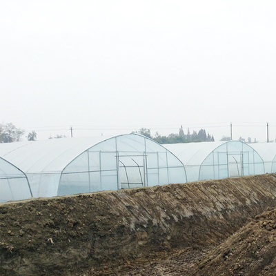 Uprawa truskawek Rolnicza pojedyncza przęsło 2m tunel z tworzywa sztucznego w szklarni