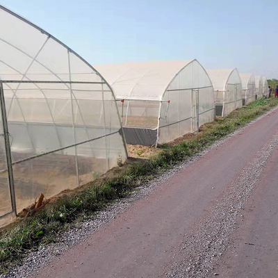 Wentylacja boczna do uprawy truskawek Szklarnia o pojedynczej rozpiętości dla rolnictwa