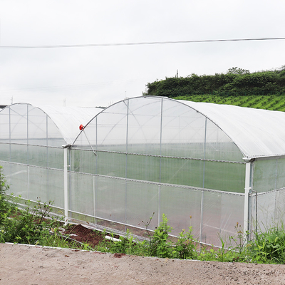 Tunel do uprawy polietylenu o konstrukcji stalowej do pomidorów i ogórków