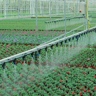 Rolnicze rośliny uprawne Uprawa automatycznego systemu nawadniania szklarni