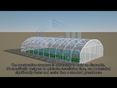 PE Film Agriculture Single Span Greenhouse Model Show Video
