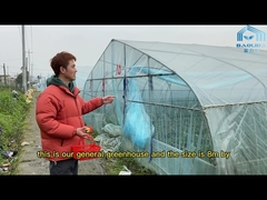 Agricultural Tomatoes Single Layer Greenhouse With 80 Micron Film