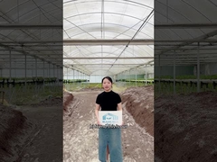 Gotowy do podniesienia poziomu rolnictwa?