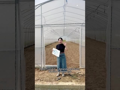 Chcesz zwiększyć plony dzięki taniej opcji?