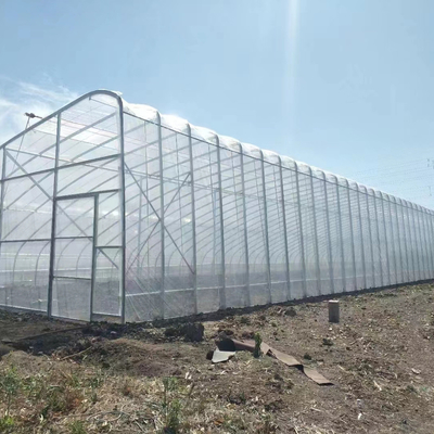 Jakość  Plastic Film Solar Passive Greenhouse With Rainwater Collection Support fabryka
