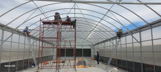 Jakość  Automated Light Deprivation Greenhouse with 8mm Twin-Wall PC Board and Hot-Dip Galvanized Steel Frame Controlled by Smart PLC System fabryka