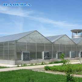 Jakość  Commercial Polycarbonate Sheet Greenhouse / PC Sheet Greenhouse Customized Material fabryka