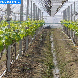 Jakość  Small Greenhouse Irrigation System / Greenhouse Auto Watering System fabryka