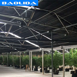 Jakość  Advanced Automated Blackout Greenhouse Full Auto Light Deprivation Hemp Growing fabryka