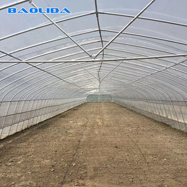 Jakość  Tomato Growing Naturally Ventilated Greenhouse Plastic Film Greenhouse fabryka