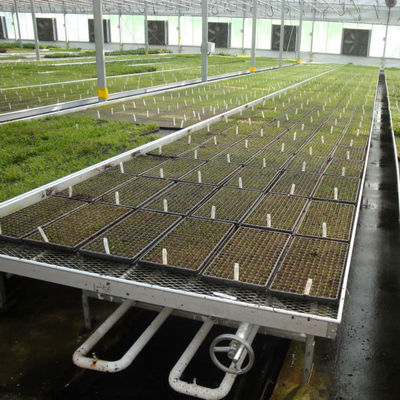 Jakość  Modern Aluminum Greenhouse Ebb Flow Table With Drain Tray Valve fabryka