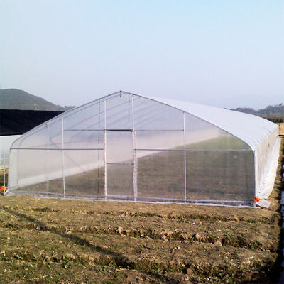 Jakość  High Strength Agricultural Poly Tunnel Tomato Greenhouse 5*15m 17*50ft fabryka