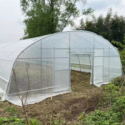 Jakość  Strawberry Growing Side Ventilation Single Span Greenhouse For Agriculture fabryka