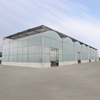 Jakość  Agriculture Hydroponic System High Tunnel Greenhouse Uv Film Multi Span fabryka