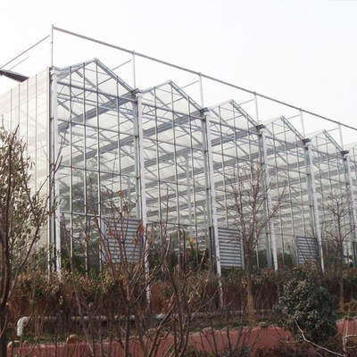Hydroponiczny system uprawy Rolnicza szklarnia szklana do warzyw