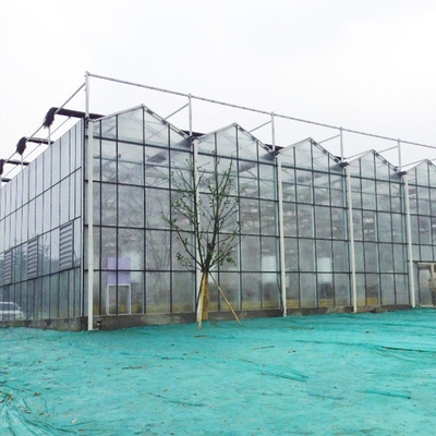 Hydroponiczny system uprawy Rolnicza szklarnia szklana do warzyw