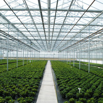 Zautomatyzowana hydroponika roślinna Szklana szklarnia do pomidorów truskawkowych