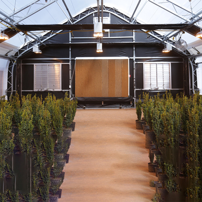 Arkusz PC Cannabis Blackout Pozbawienie światła Szklarnia Rolnictwo Rośliny rosnące