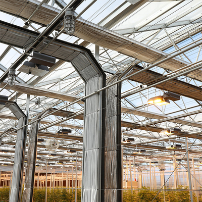 Led Grow Lighting Tunnel Auto Light Dep Greenhouse Multi Span do uprawy konopi