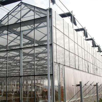 Rolnictwo Rosnące rośliny wieloprzęsłowe Szklana szklarnia Venlo z podkładką chłodzącą