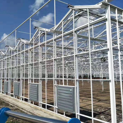 Wieloprzęsłowa konstrukcja stalowa Szklana szklarnia Venlo Pokrycie z włókna szklanego 1000m2