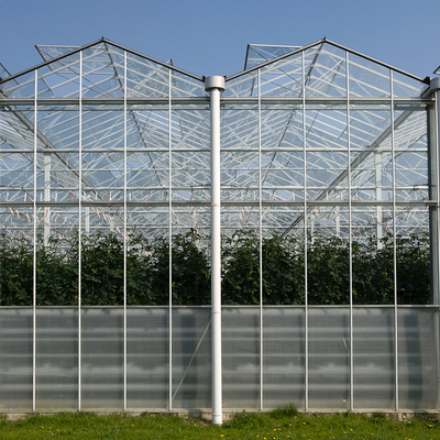 Szklarnia z tworzywa sztucznego o dużych rozmiarach z projektowymi komercyjnymi systemami hydroponicznymi