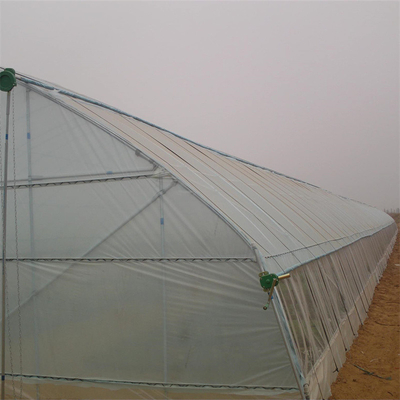 Tunel z folii z tworzywa sztucznego z pojedynczą rozpiętością cieplarnianą do zimowego pomidora