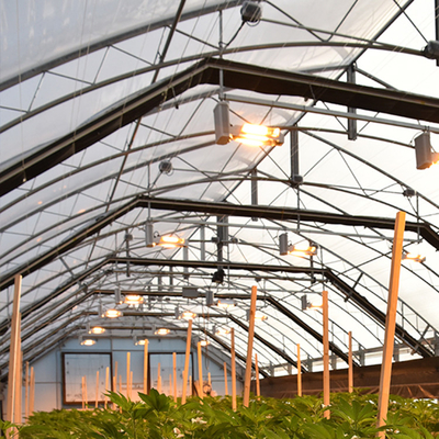 Light Dep Automated Blackout Greenhouse Black Curtain Materiał na warzywa