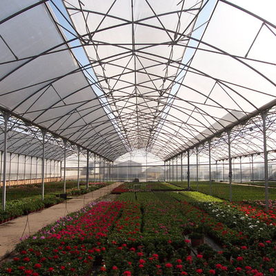 Clear Sawtooth Roof Multi Span Greenhouse Plastic Sheeting ISO9001 2008