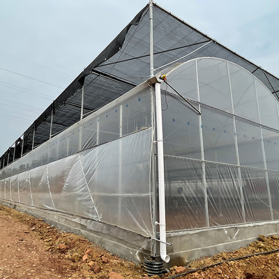 Przezroczysta folia dachowa z polietylenu o grubości 80 mikronów Multi Span Greenhouse
